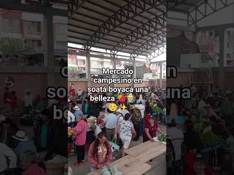 mercado campesino en soatá boyacá 🍓✨👩🏼‍🌾🙏🏼☺️✨ #campo #nelciayalaf