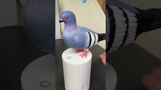 Download lagu Amazon menemukan gadget #dapur #toko #belanja #trik #rumah #dekorasi #viral #reels mp3