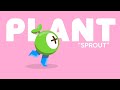 Psyop FETCH Rewards Visual System