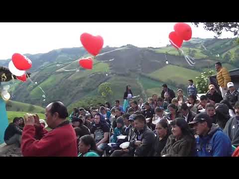 Campo Rosero - Pensando en tu traicion