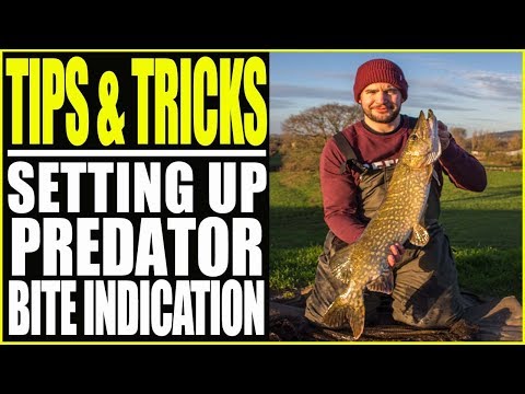 PIKE FISHING - BITE INDICATION