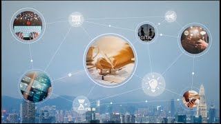 Professional digital media service