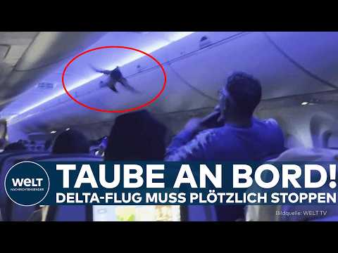 MINNEAPOLIS: Delta-Flieger gestoppt – Blinder Passagier sorgt für Chaos an Bord!