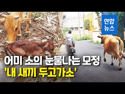 아이콘