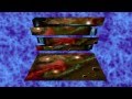 Mari Boine ( Big Medicine ) Bluetech Remix 