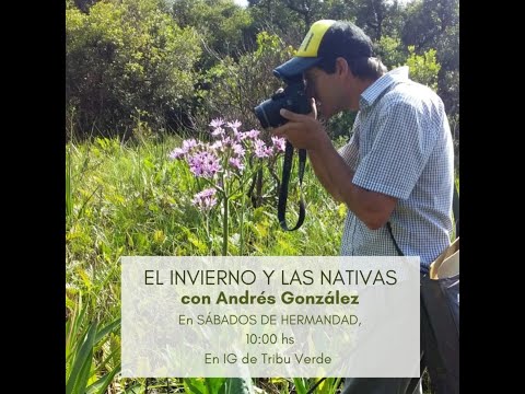 , title : 'Plantas Nativas Rioplatenses en Otoño | Andrés González y Maria de la Peña | LA TRIBU VERDE'