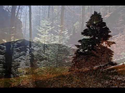 V tichu - Veronika Rabada