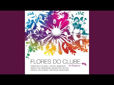 Um Girassol Da Cor Do Seu Cabelo