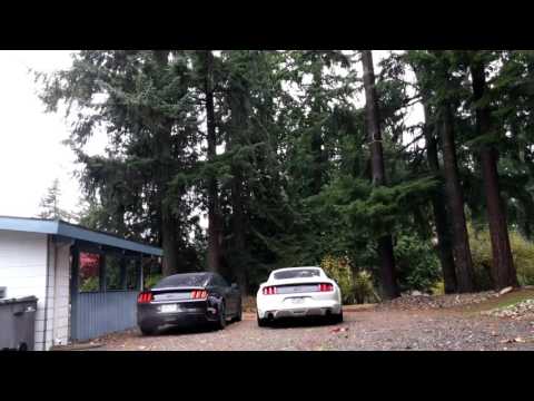 2015 Mustang GT Straight Pipe VS Gibson Exhaust co