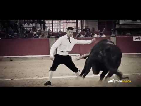 Festejos Populares FALLAS 2018 – Toropasión