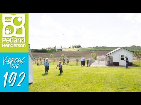 Petland Henderson Kennel Tour 192
