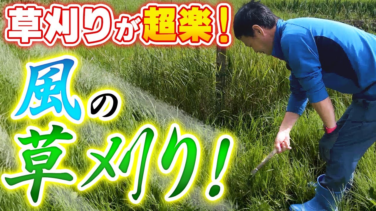 鎌で土を育てる「風の草刈り」