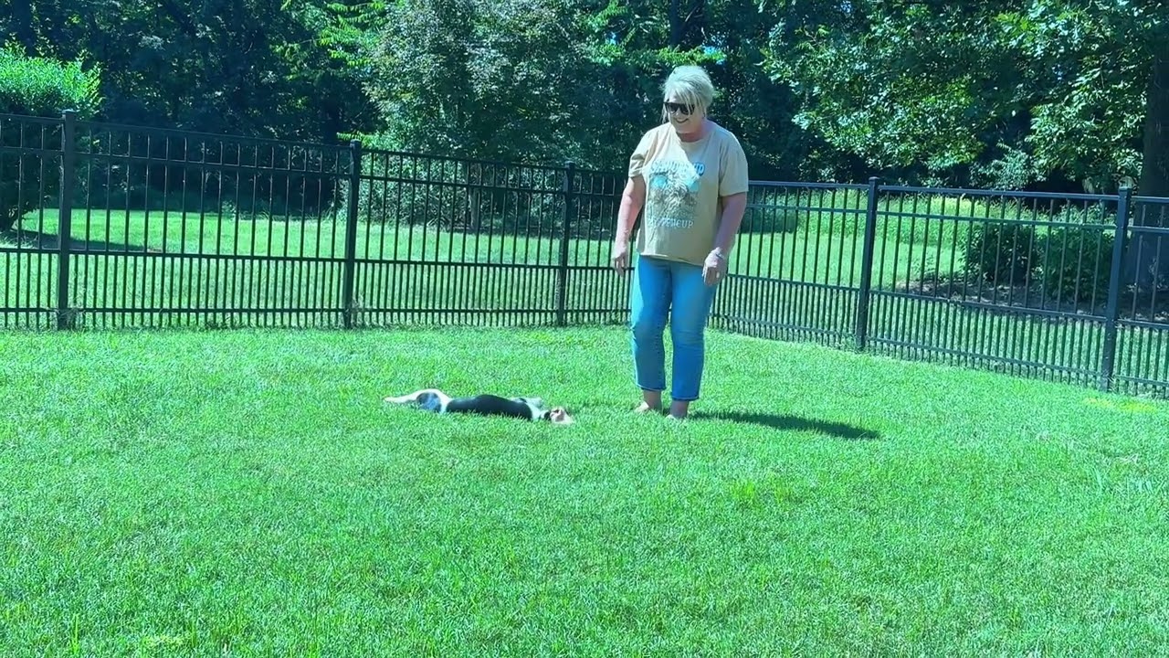 Hank's Transformation Journey