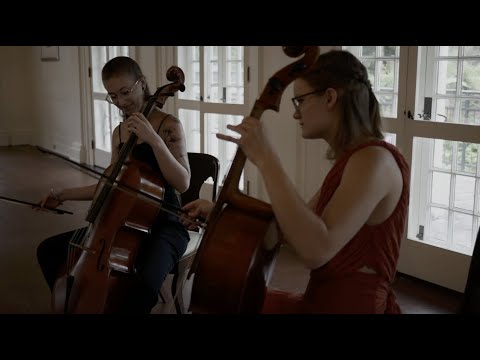 Thomas Cello Duet No. 3: IV. Allegro