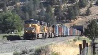 preview picture of video 'Union Pacific/Amtrak train cross'