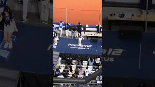 【CT AMAZE】PREMIER12 台湾VSドミニカ@台北大巨蛋20241114 #台湾チア #cheerdance #cheerleading #amaze #啦啦隊 #premier12