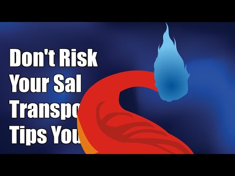 Don't Risk Your Salamander: Essential Transport Tips You Can't Afford to Miss!