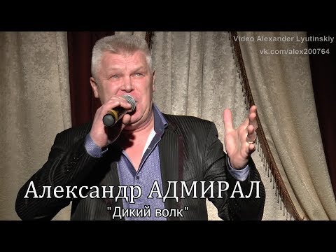 Александр АДМИРАЛ - "Дикий волк"