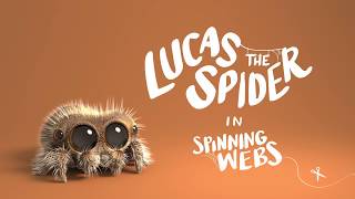 Lucas the Spider - Spinning Webs