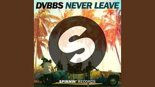 Never Leave (Radio Edit)