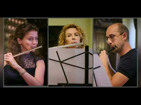 H. Beeftink: "Birds" Flute Trio - Giovanni Gandolfo, Sarah Louvion, Agata Igras