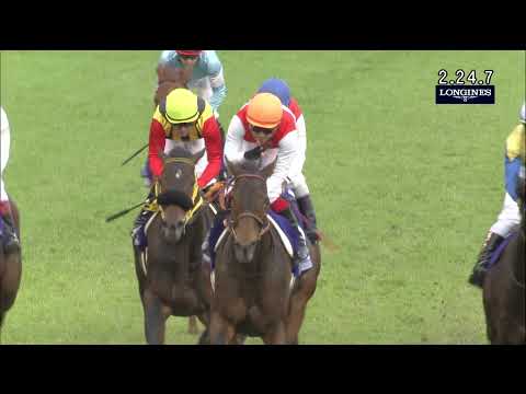 2015 Japan Cup (G1) | JRA Official