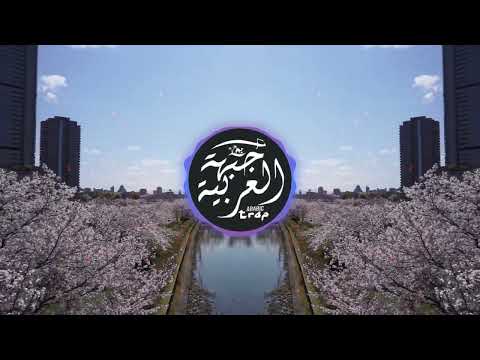 CVRELESS x DIZZZKILL - Sakura