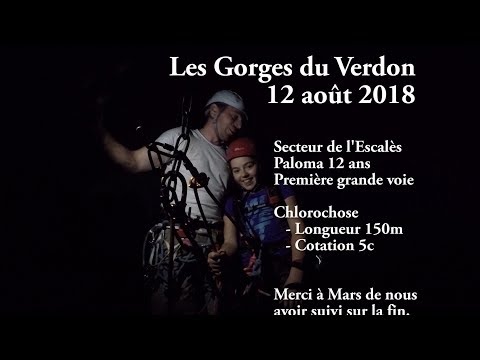 Chlorochose Paloma 12 aout 2018