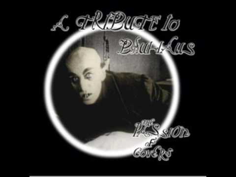 THE THREE SAHDOWS PART II  Eva-O