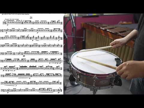 Portraits Rhythm CIRONE SNARE DRUM NO.21