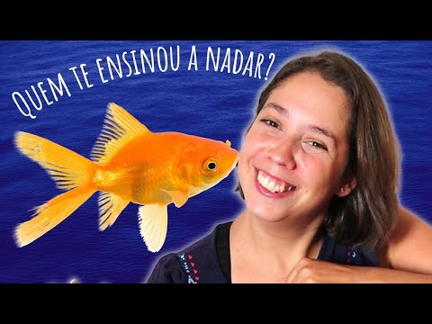 Foi o Peixinho do Mar | Ana Amaro