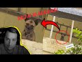 Most Disturbing Animal Skinwalkers Caught On Tape