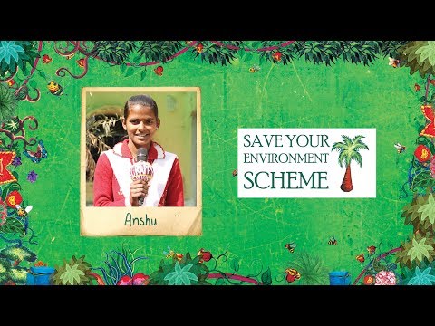 Pitch it 2018: Make your school 100% Wild!