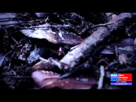 EISA Awards - European HT 5.1 System 2011-2012 - LG HX966TZ:TZW.mp4