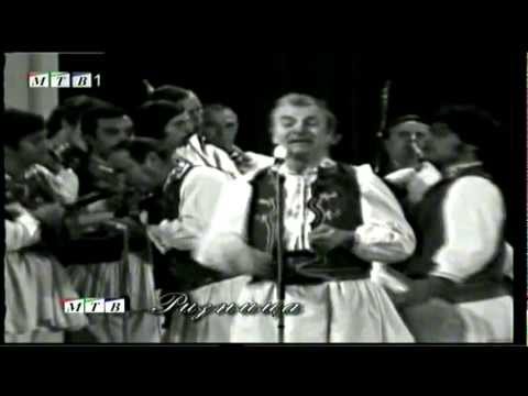 Ќичице бујна лободо-никола бадев