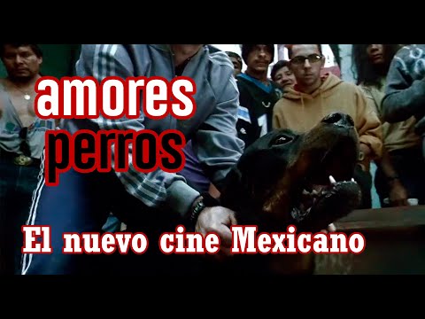 20 años de Amores perros y el nuevo cine Mexicano