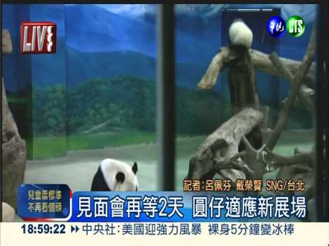 圓仔.圓圓換新家 熟悉展示場