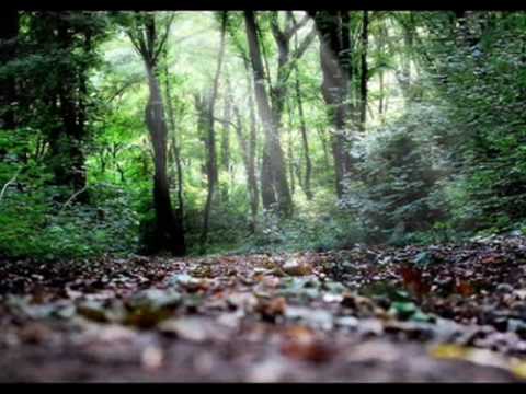 Doru Tufis   Dintr o mie de femei