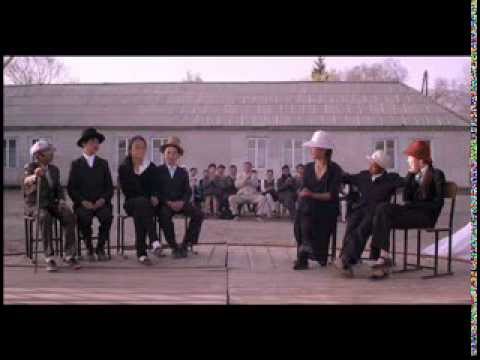 Трейлер «Чайка»