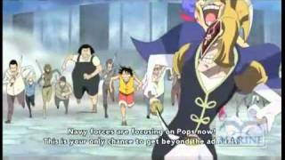 WhiteBeard pirates Back up Luffy