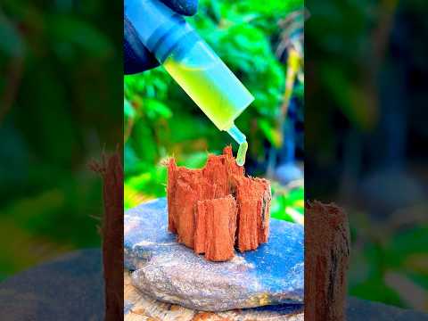 Survival Skills: The Best Firestarter You Can Find in the Woods #survival #bushcraft #camping