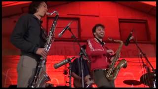 Woima Collective-Malaria