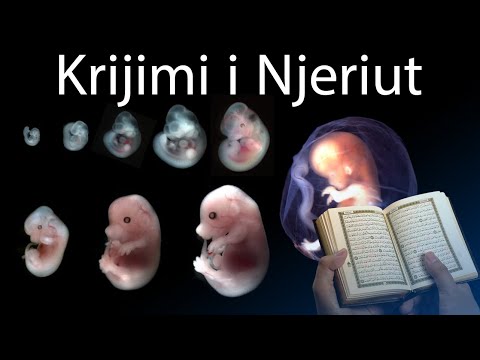 Etapat e krijimit te njeriut te permendura ne Kur'an zbulohen nga shkenca! Mrekullia Kur'anore