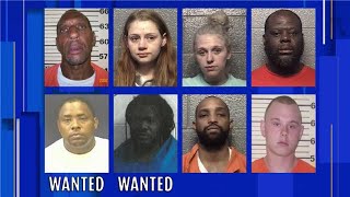 Eight charged in Danville as part of Operation Justice Without Borders