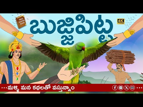 telugu stories - బుజ్జి పిట్ట - stories in Telugu - moral stories in telugu - తెలుగు కథలు
