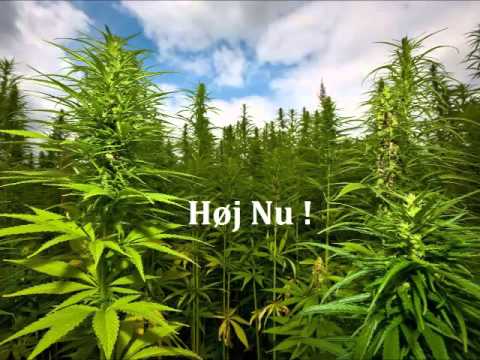 Martin Bjerre Feat RiiiX - Høj Nu !