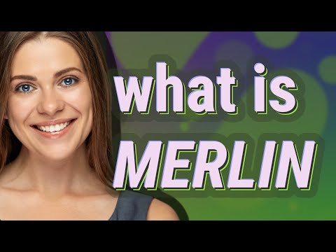 Merlin | meaning of Merlin