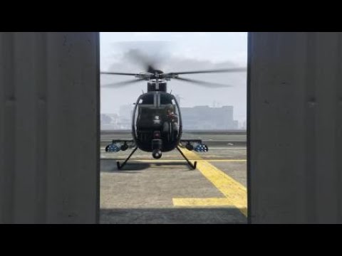 GTA V - Professionalism