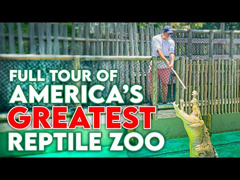 Zoo Tours: Full Tour of America's Best Reptile Zoo
