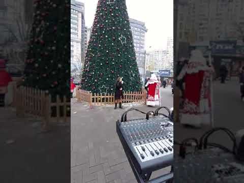 Vis de iarna  Milena straista